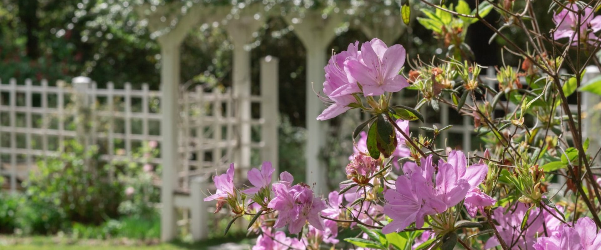 Exploring the Vibrant Celebrations in Southeastern Mississippi