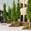 Celebrating Responsibly: Promoting Sustainable Practices in Southeastern Mississippi