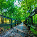 Celebrating Southeastern Mississippi: A Guide for Businesses and Organizations