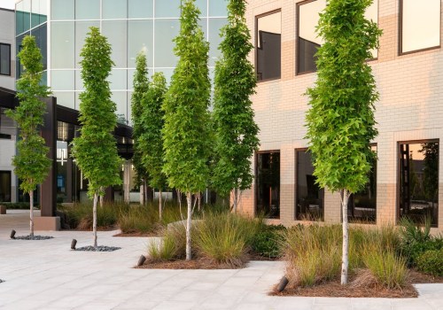 Celebrating Responsibly: Promoting Sustainable Practices in Southeastern Mississippi