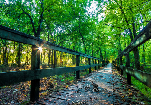 Celebrating Southeastern Mississippi: A Guide for Businesses and Organizations
